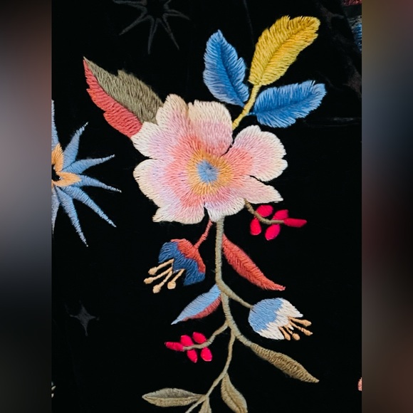 HP๐ JohnnyWas Velvet top  ๐บ๐ธ - Picture 13 of 16